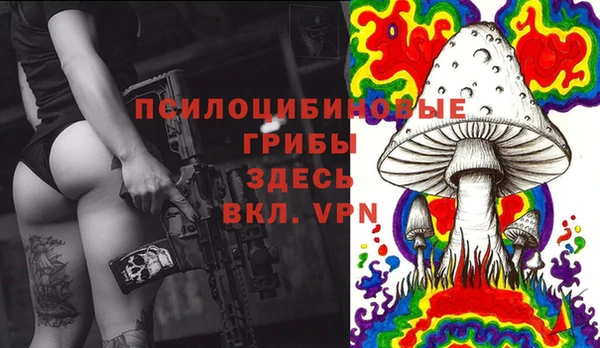 PSILOCYBIN Алексин