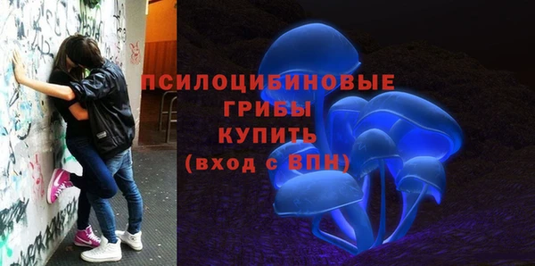 PSILOCYBIN Алексин