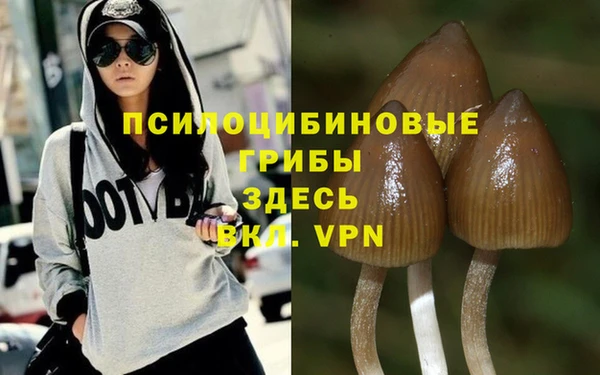 PSILOCYBIN Алексин