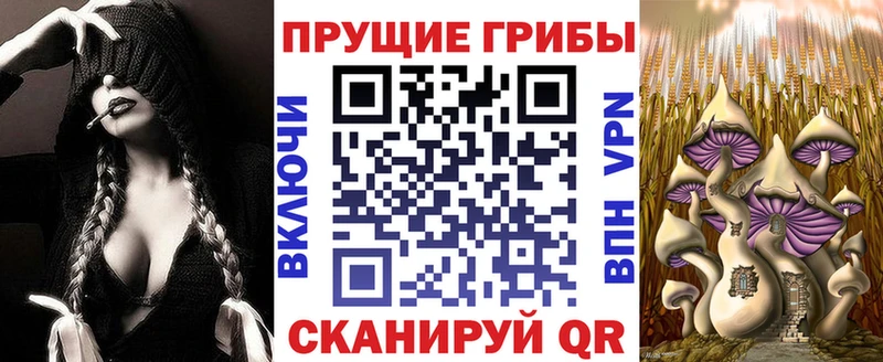 МЕГА онион  Лесной  Псилоцибиновые грибы мухоморы  магазин   