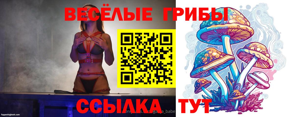 Псилоцибиновые грибы мухоморы Лесной